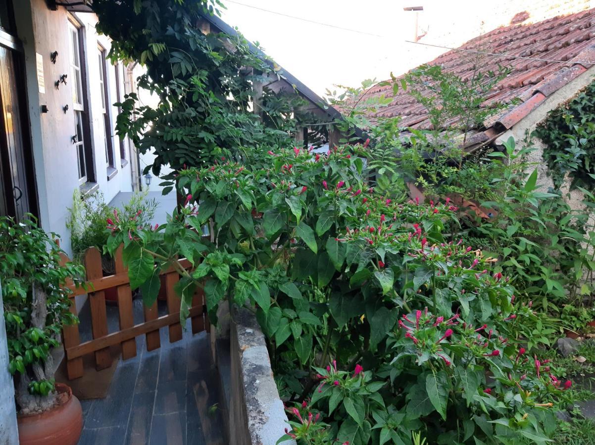 Casa Do Sr. Falcao 科尔武河畔米兰达 外观 照片
